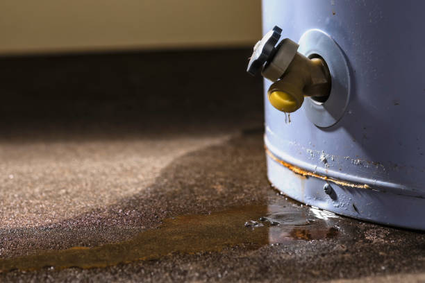 Best Local water damage restoration  in Waretown, NJ
