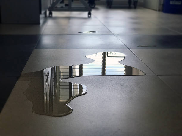 Best Water damage contractors near me  in Waretown, NJ