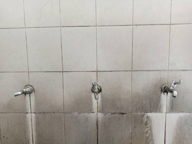 Best Commercial water damage restoration  in Waretown, NJ