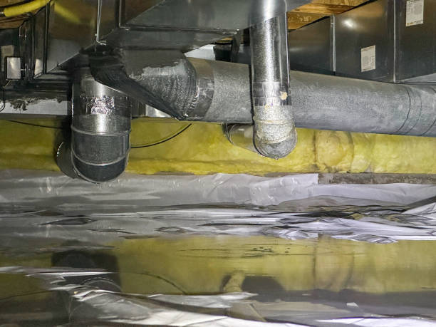 Best Sewage cleanup and water damage restoration  in Waretown, NJ