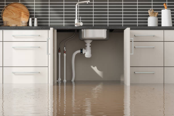 Best Mold removal after water damage  in Waretown, NJ