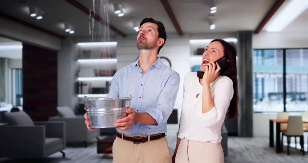 Best Water damage contractors near me  in Waretown, NJ